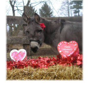 "Be My Valentine!" Holiday Card