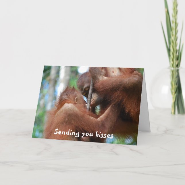 Be My Valentine Kisses Holiday Card (Front)