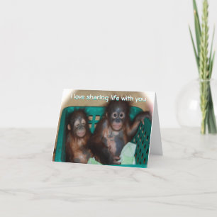 Be My Valentine Sweet Baby Animal Photo Holiday Card