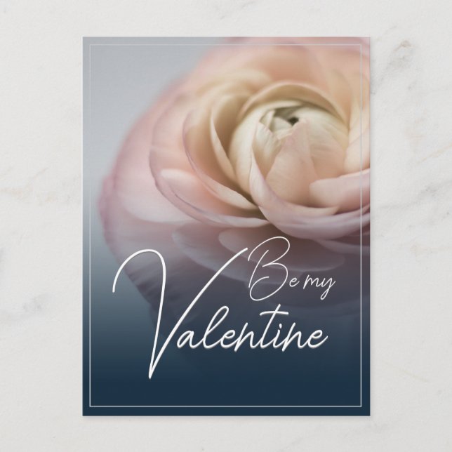 Be my Valentine with big pink rose Holiday Postcard (Front)
