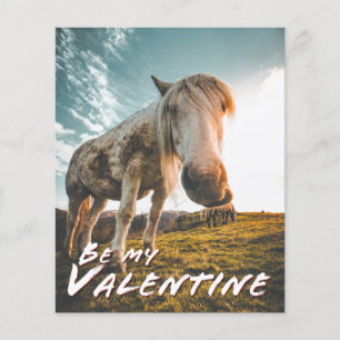 Be my Valentine with looking Horse