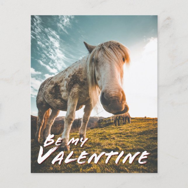 Be my Valentine with looking Horse (Front)