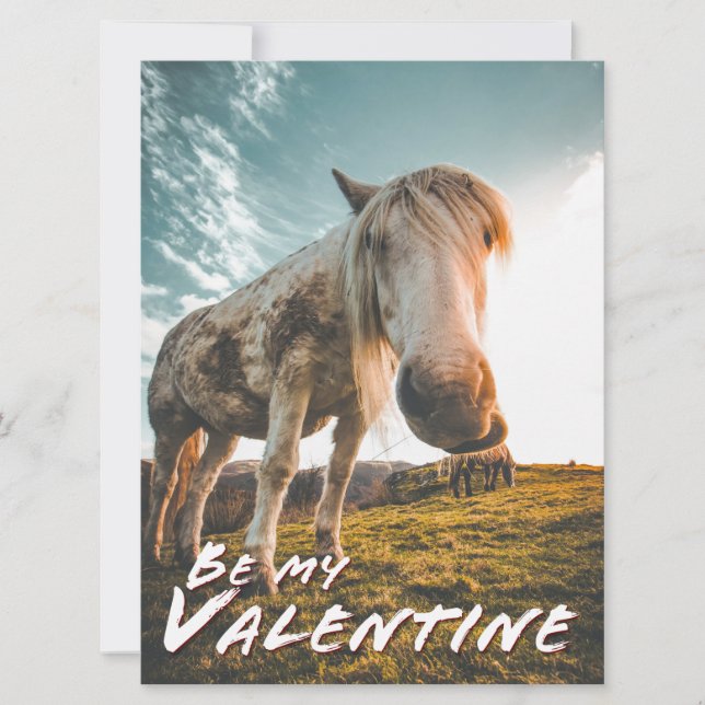 Be my Valentine with looking Horse (Front)