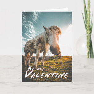 Be my Valentine with looking Horse Card