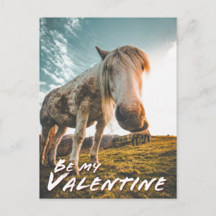 Be my Valentine with looking Horse Holiday Postcard