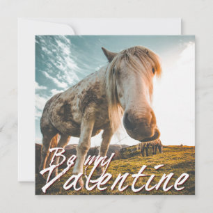 Be my Valentine with looking Horse V2.0