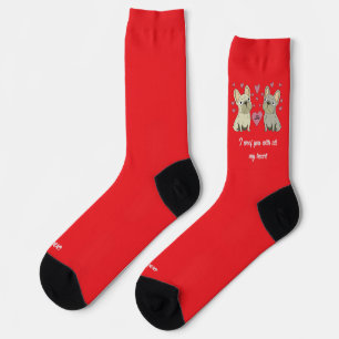 Be my Valentines, dogs Socks