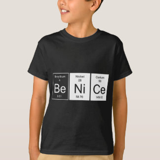Be Nice Chemistry GIft T-Shirt