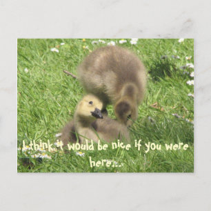 Be nice if you were here... postcard