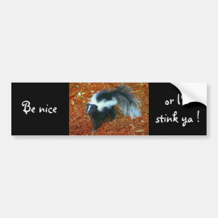 Be nice or I'll stink ya!-bumper sticker