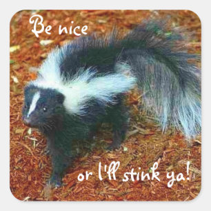 Be nice or I'll stink ya!-square sticker