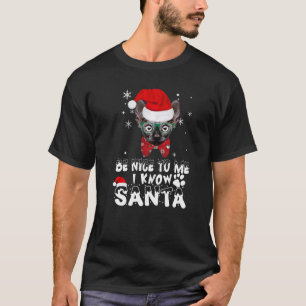 Be Nice To Me I Know Santa Sphynx Cat Christmas T-Shirt
