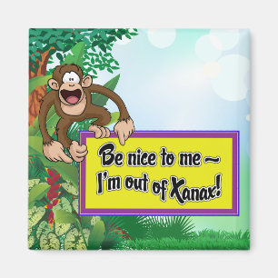 Be Nice to Me- I'm Out of Xanax! Magnet