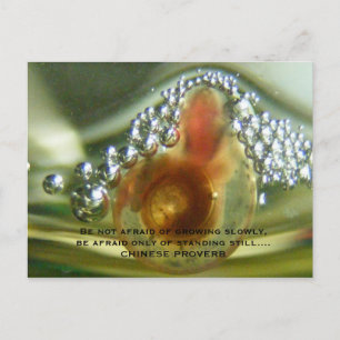 Be not afraid of growing, be a... postcard