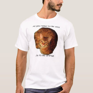 be orange T-Shirt