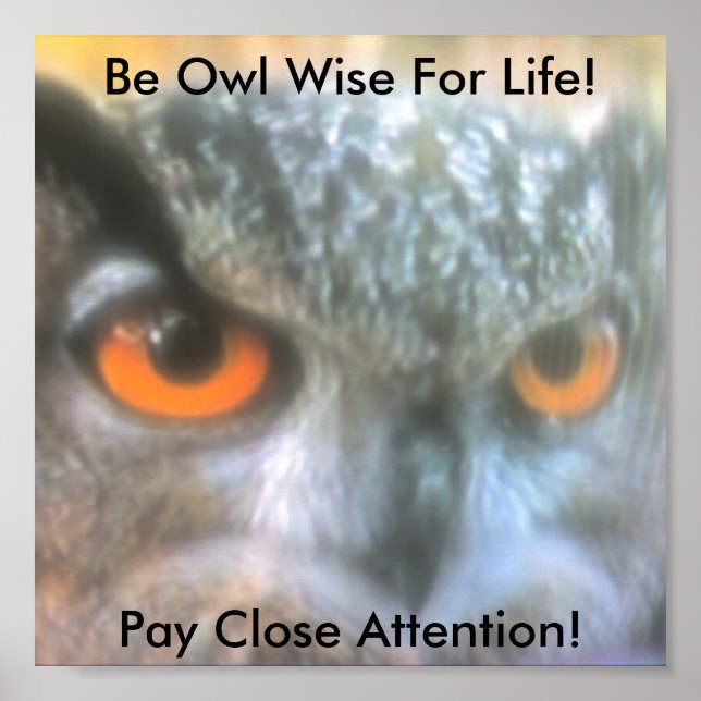Be Owl Wise For Life!, Pay Clos.. Poster (Front)