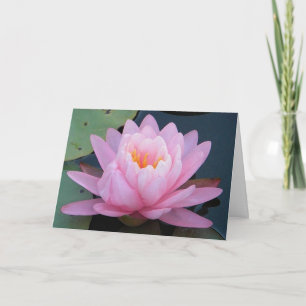 BE- Pink Water lily Get Well Card