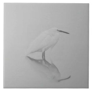 Be still Egret Ceramic Tile
