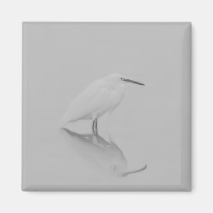 Be still Egret Magnet