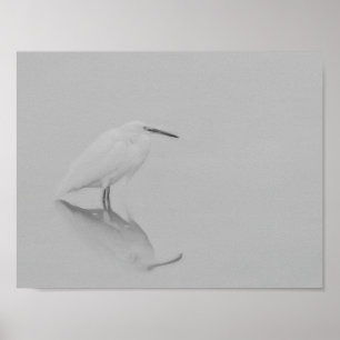 Be still Egret Poster