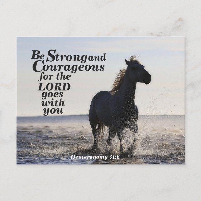 Be Strong and Courageous Deuteronomy 31:6 Horse Postcard (Front)