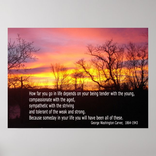 Be tender with the young poster (Front)