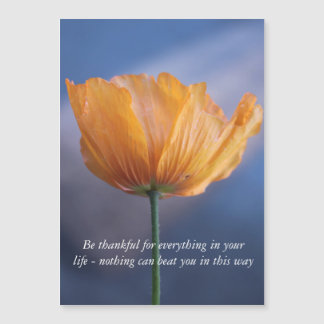 be thankful, yellow poppy flower in blue.