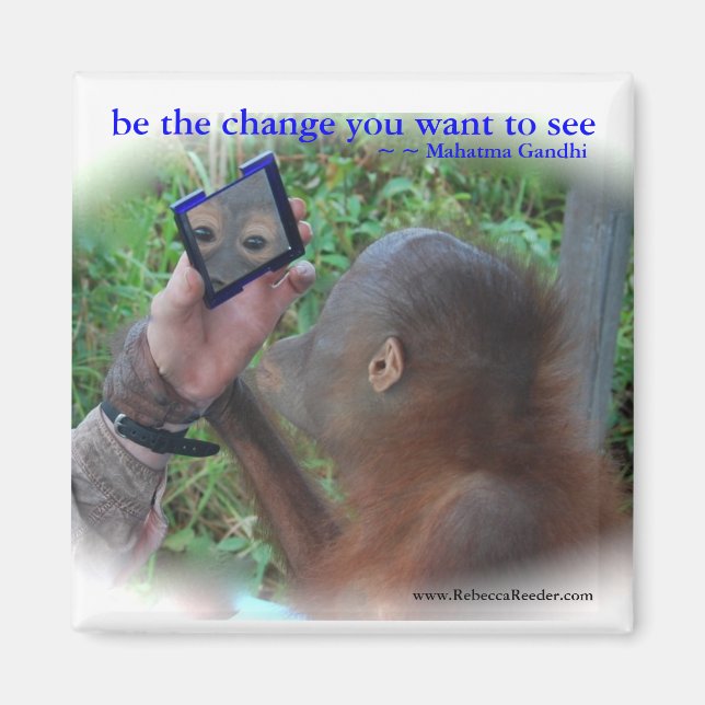Be the Change : Face in the Mirror Magnet (Front)