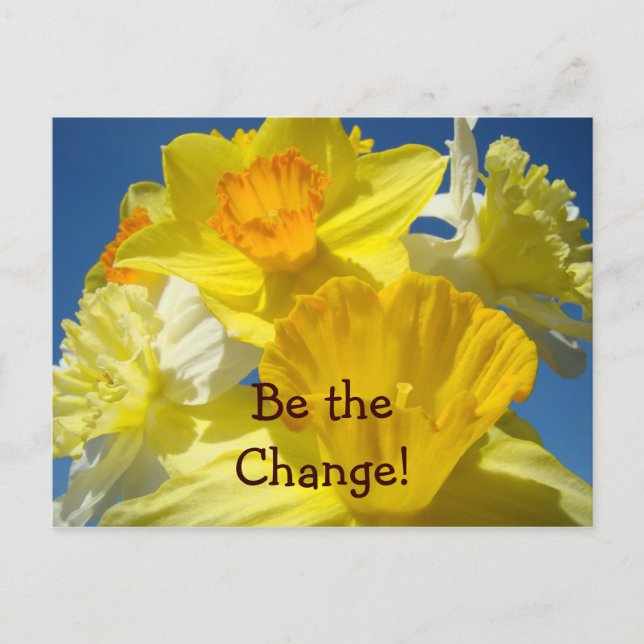Be the Change! post cards Spring Daffodils Flowers (Front)
