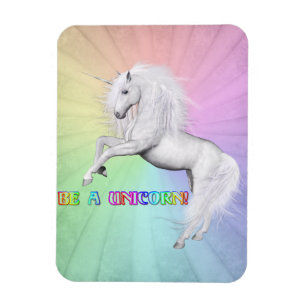 Be Unique, Be a Unicorn Magnet
