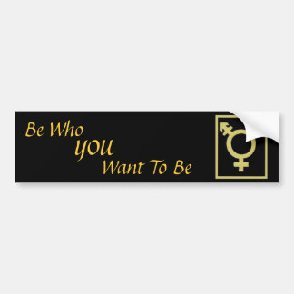 Be Who You Want To Be Bumper Sticker