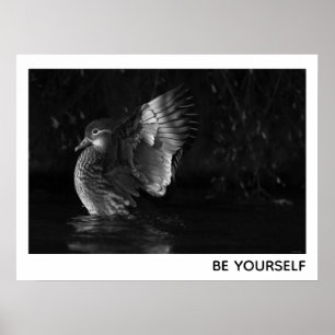 Be Yourself Female Mandarin Duck Black White Photo Poster