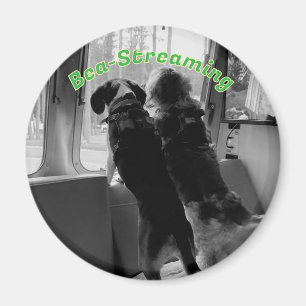 Bea-Streaming Dogs Magnet