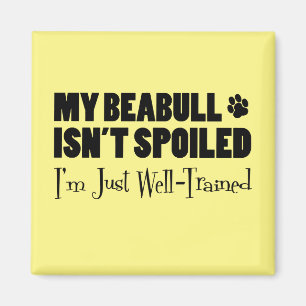 Beabull Isn't Spoiled I'm Just Well-Trained Magnet