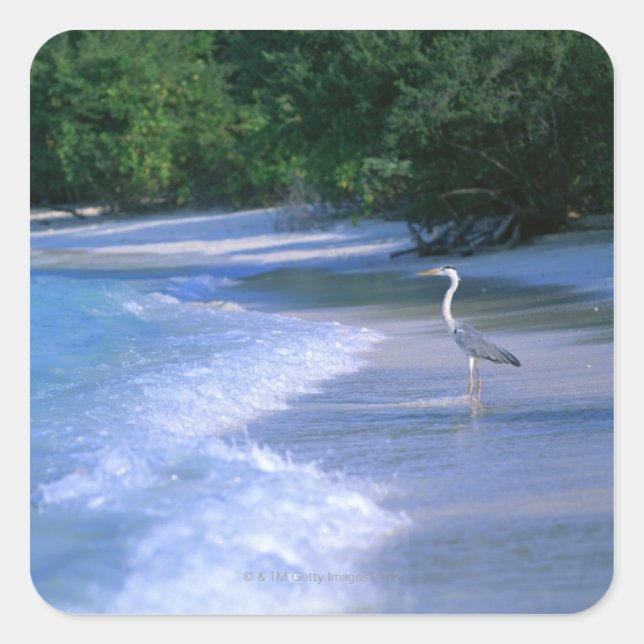 Beach 2 square sticker (Front)