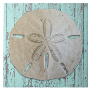 Beach Aesthetic Sand Dollar Decor Ceramic Tile