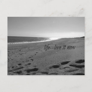 Beach and Life Quote Postcard