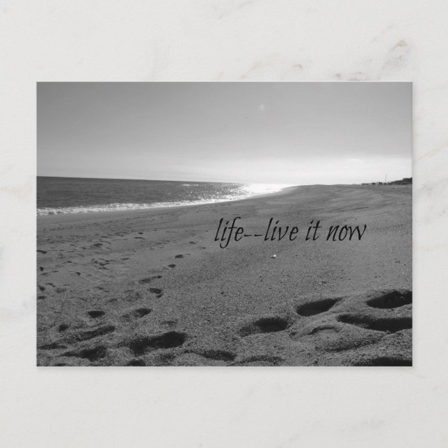 Beach and Life Quote Postcard (Front)