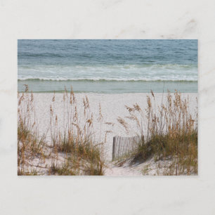 Beach and Ocean Postcard