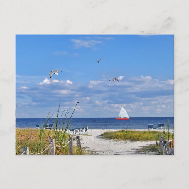 Beach and Ocean View Postcard (Front)