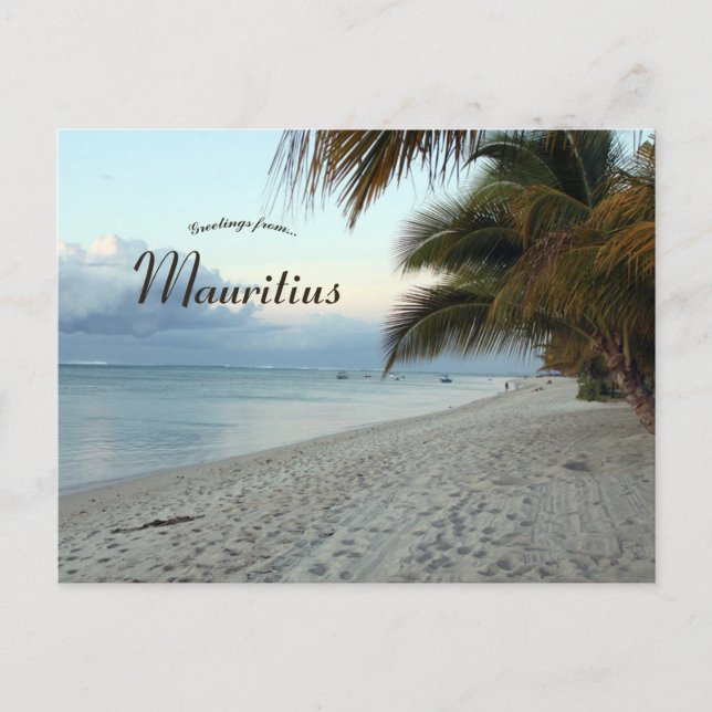 Beach and Palm Trees in Mauritius Postcard (Front)