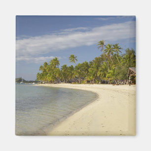Beach and palm trees, Plantation Island Resort 2 Magnet