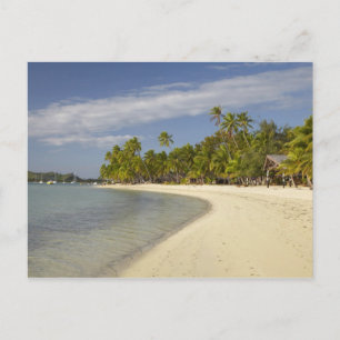 Beach and palm trees, Plantation Island Resort 2 Postcard