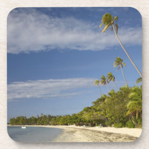 Beach and palm trees, Plantation Island Resort Coaster