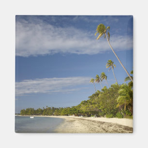 Beach and palm trees, Plantation Island Resort Magnet