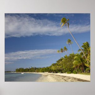 Beach and palm trees, Plantation Island Resort Poster