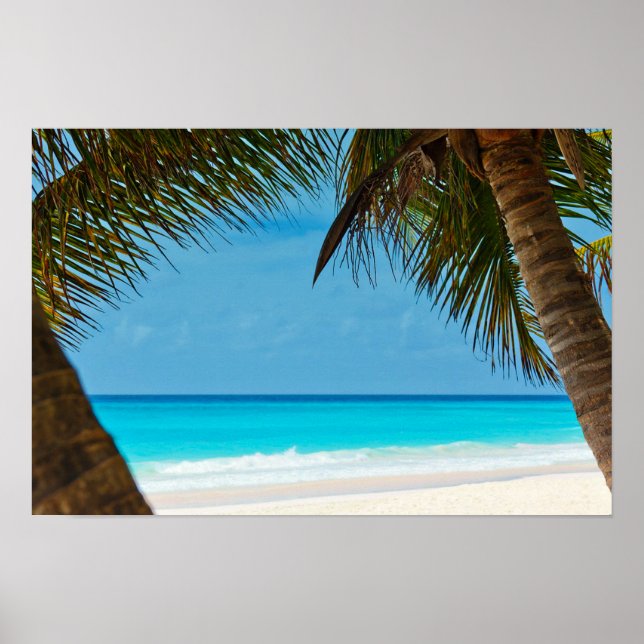 Beach and Palm Trees Poster (Front)