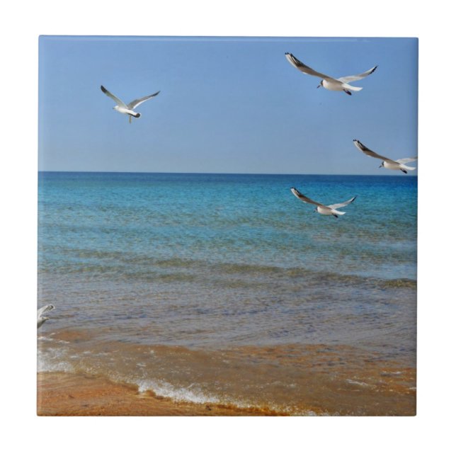 Beach and Seagulls Ceramic Tile (Front)