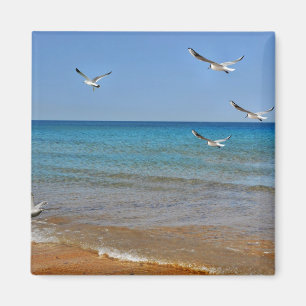 Beach and Seagulls Magnet