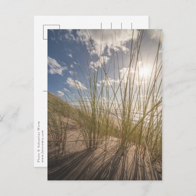 Beach and Sun Nature Photo Postcard (Front/Back)